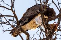 _namibia23ago27208_small.jpg