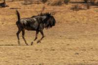 _namibia23ago27209_small.jpg