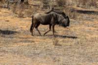 _namibia23ago27211_small.jpg