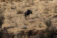 _namibia23ago27212_small.jpg