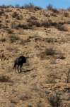 _namibia23ago27213_small.jpg
