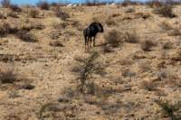 _namibia23ago27214_small.jpg