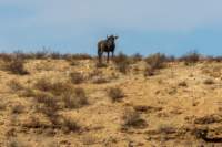 _namibia23ago27215_small.jpg