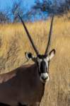 _namibia23ago27217_small.jpg
