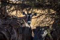 _namibia23ago27218_small.jpg
