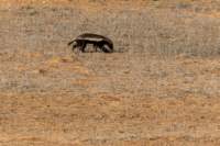 _namibia23ago27219_small.jpg