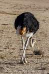 _namibia23ago2721_small.jpg