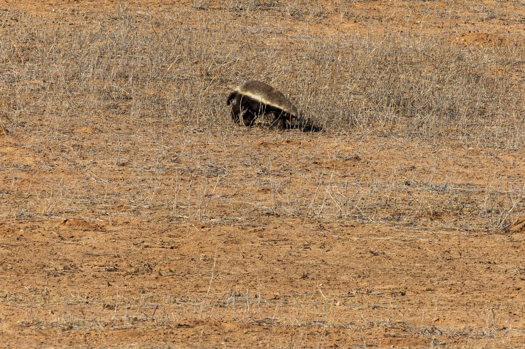 _namibia23ago27220.jpg
