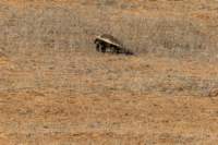 _namibia23ago27220_small.jpg