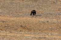 _namibia23ago27221_small.jpg