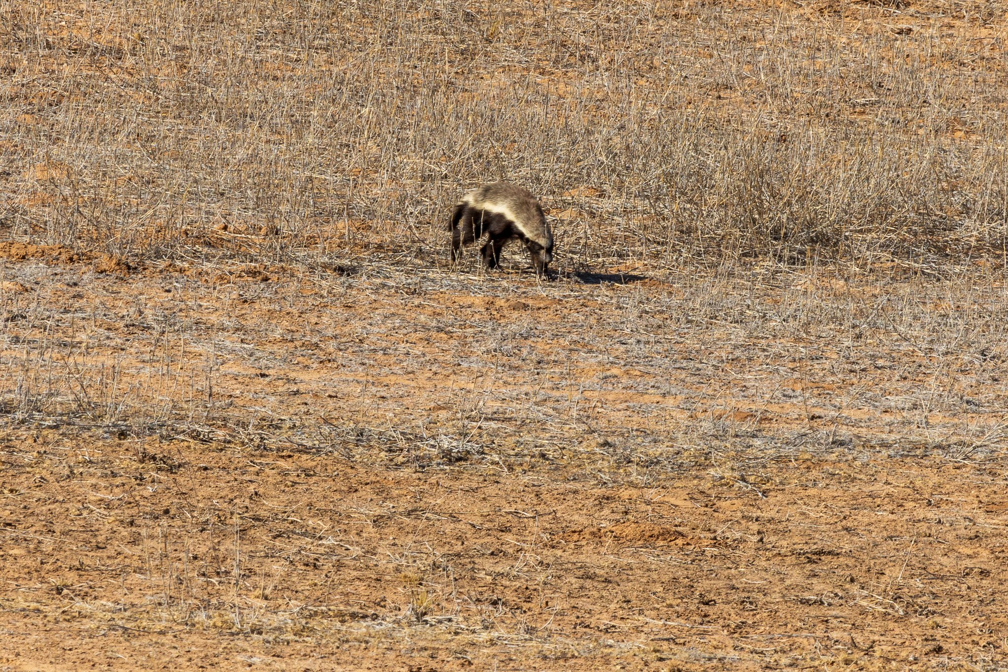 _namibia23ago27222.jpg