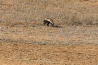 _namibia23ago27222_small.jpg