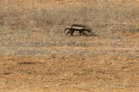 _namibia23ago27223_small.jpg