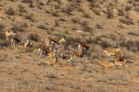 _namibia23ago27226_small.jpg
