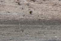 _namibia23ago27229_small.jpg