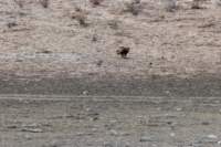 _namibia23ago27230_small.jpg