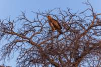 _namibia23ago27232_small.jpg