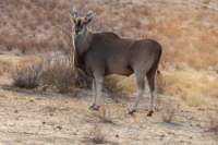 _namibia23ago27233_small.jpg