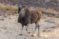 _namibia23ago27234_small.jpg