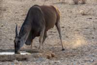 _namibia23ago27235_small.jpg