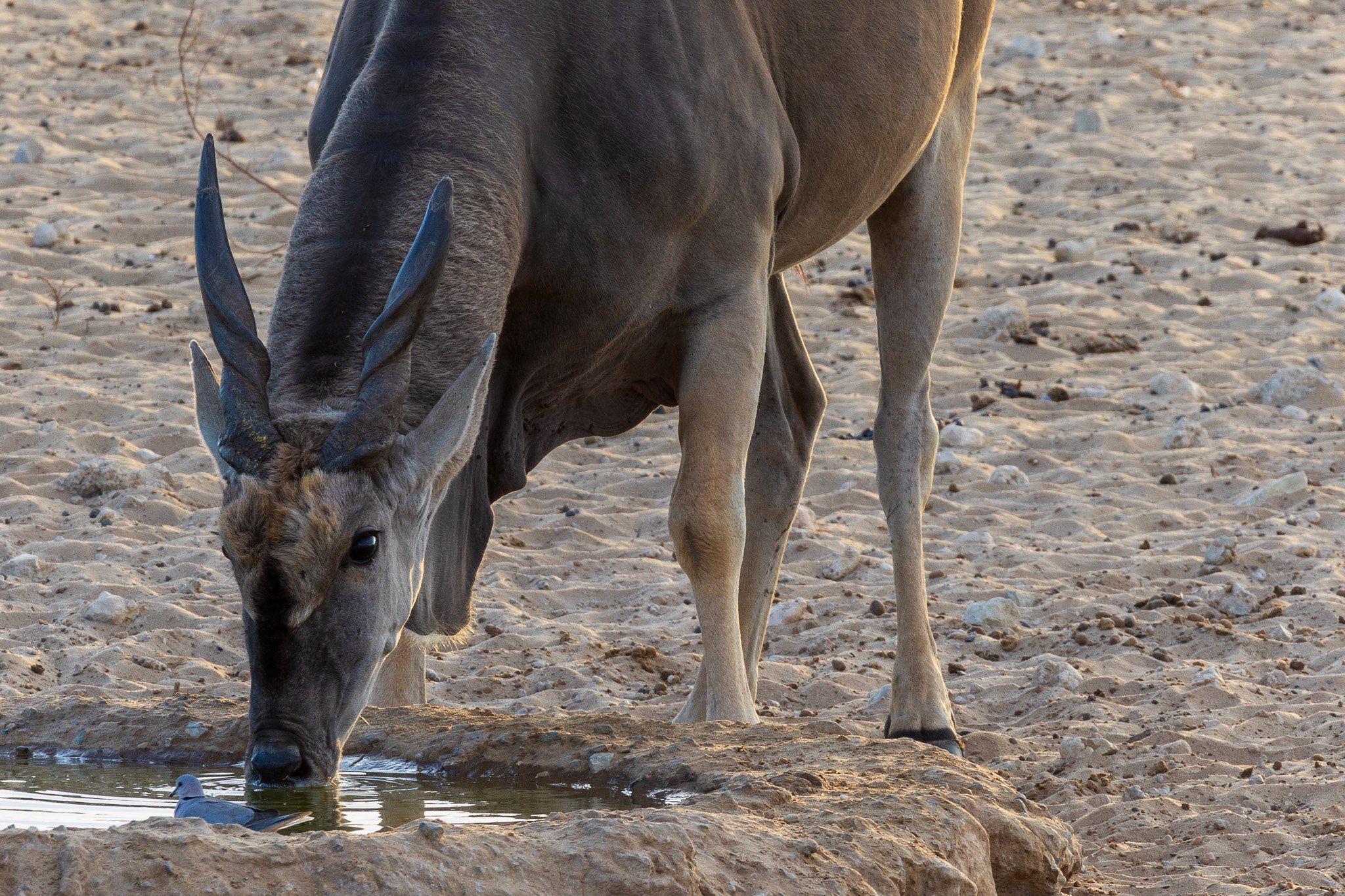 _namibia23ago27237.jpg