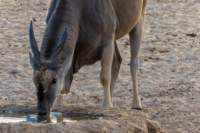 _namibia23ago27237_small.jpg