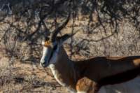 _namibia23ago2724_small.jpg