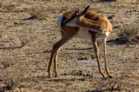 _namibia23ago2725_small.jpg