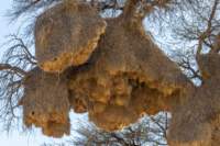 _namibia23ago2728_small.jpg