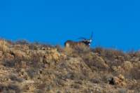 _namibia23ago272_small.jpg