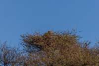 _namibia23ago2732_small.jpg
