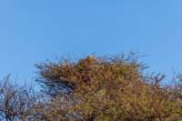 _namibia23ago2733_small.jpg