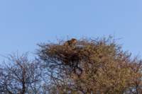 _namibia23ago2734_small.jpg