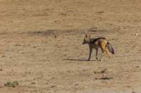 _namibia23ago2735_small.jpg