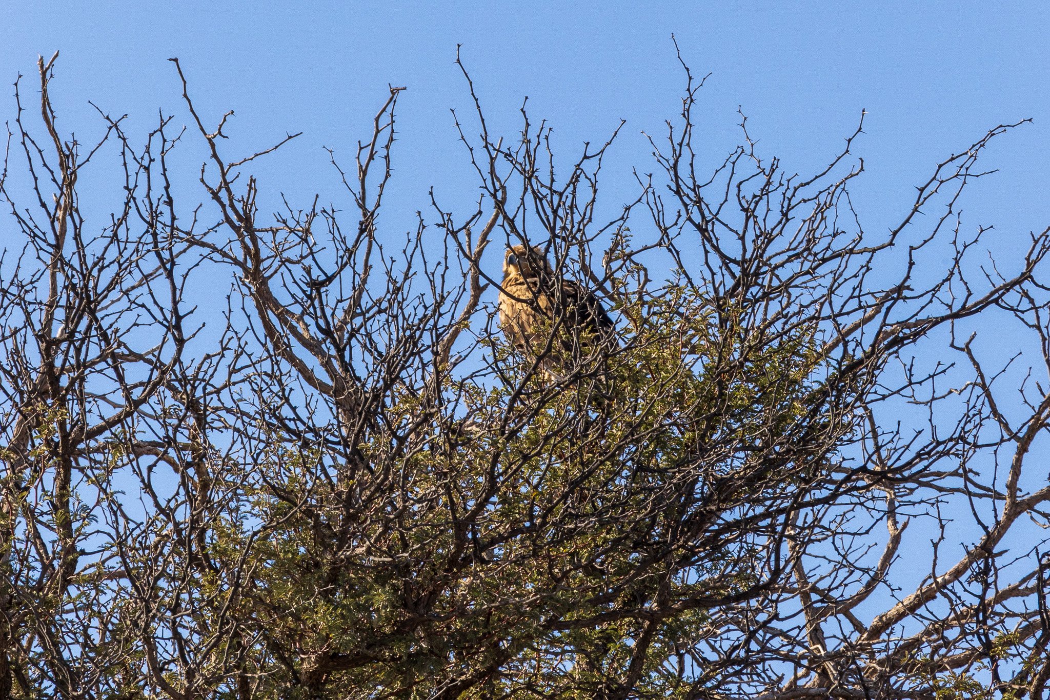 _namibia23ago2738.jpg