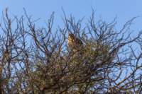 _namibia23ago2738_small.jpg