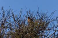 _namibia23ago2739_small.jpg