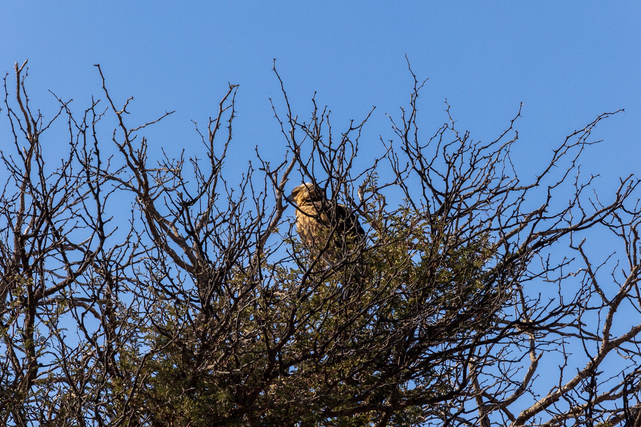 _namibia23ago2740.jpg