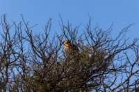 _namibia23ago2740_small.jpg