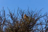 _namibia23ago2741_small.jpg