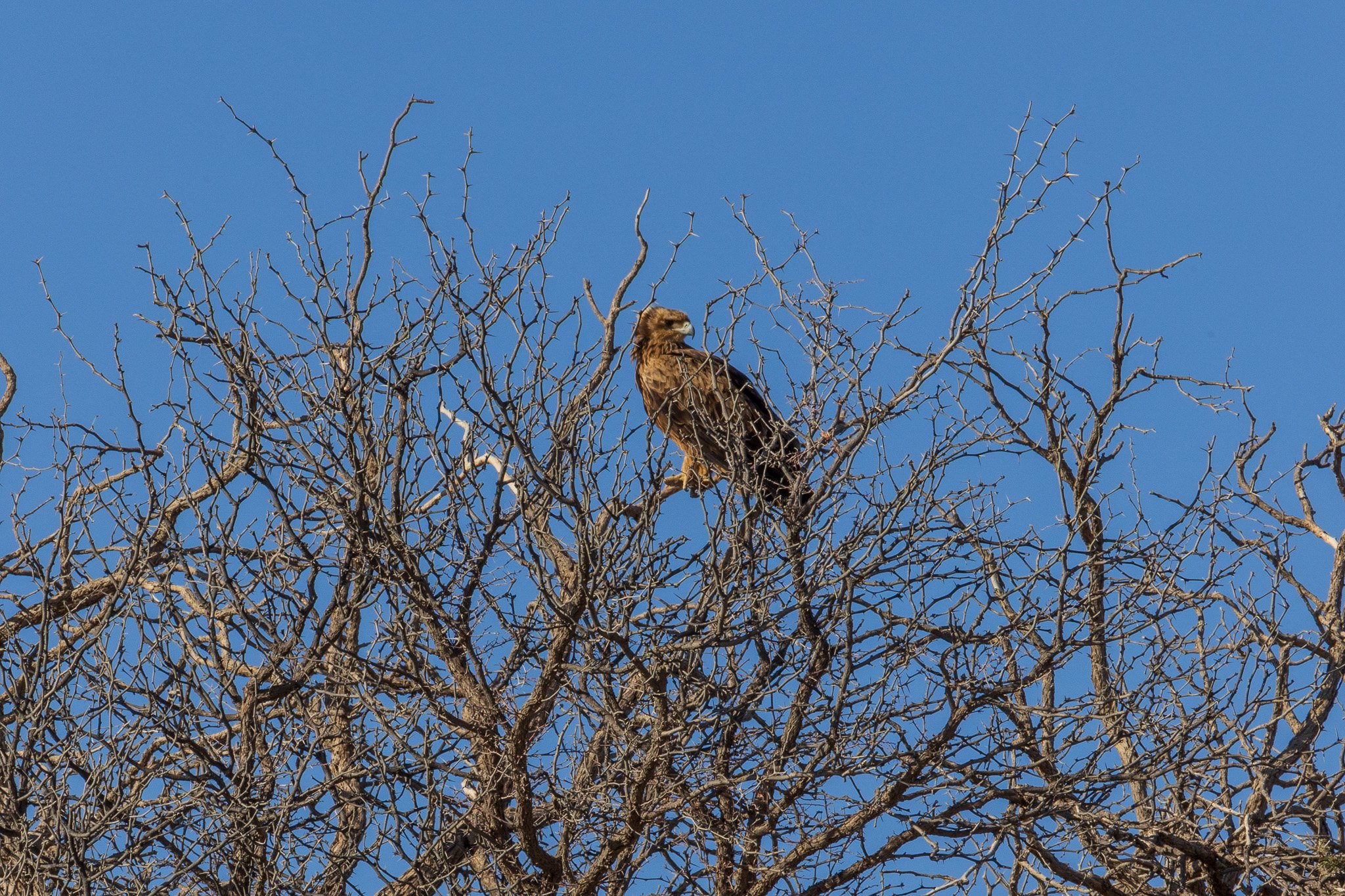 _namibia23ago2742.jpg