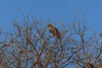 _namibia23ago2742_small.jpg