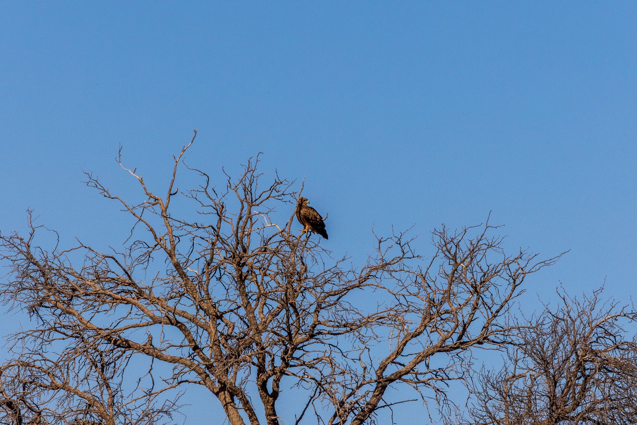 _namibia23ago2743.jpg