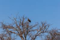 _namibia23ago2743_small.jpg