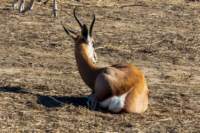 _namibia23ago2744_small.jpg