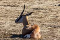 _namibia23ago2745_small.jpg
