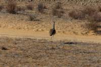 _namibia23ago2747_small.jpg