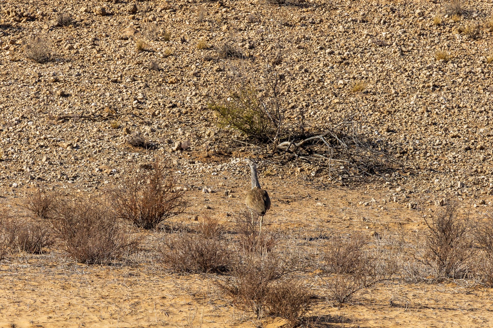 _namibia23ago2748.jpg