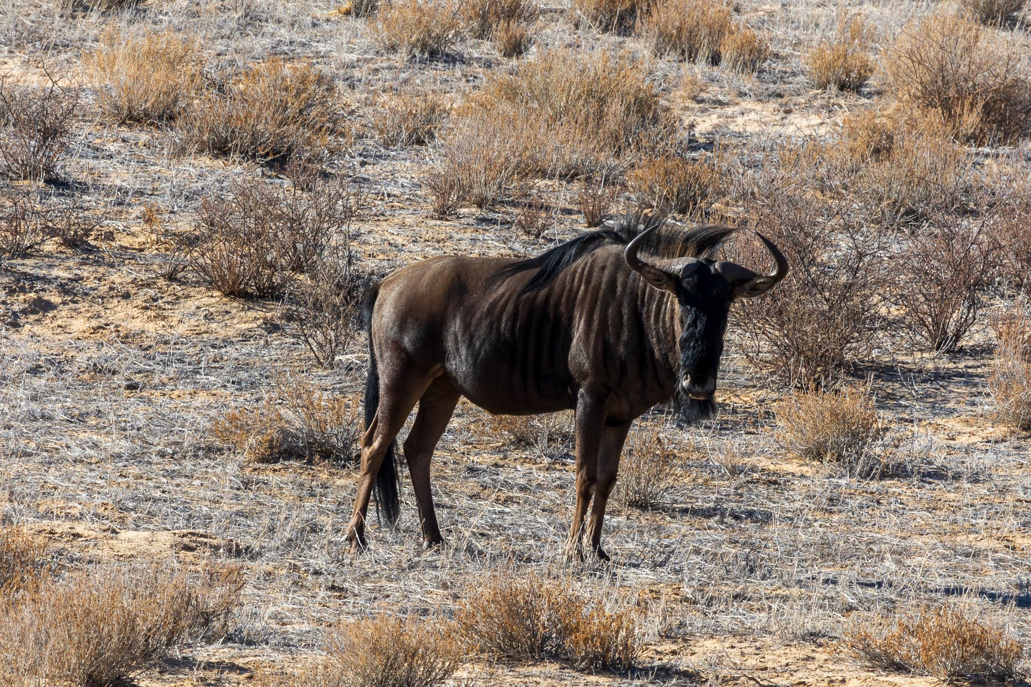 _namibia23ago2749.jpg