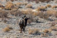 _namibia23ago2751_small.jpg
